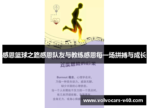 感恩篮球之路感恩队友与教练感恩每一场拼搏与成长