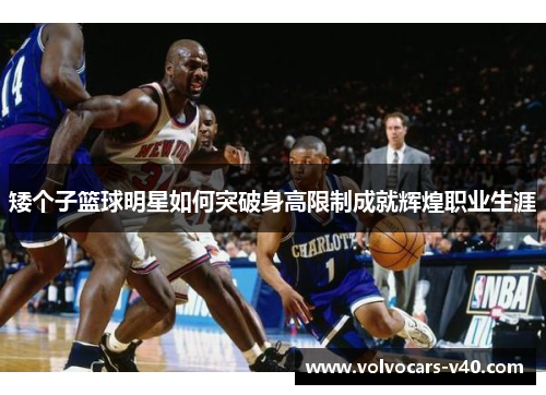 矮个子篮球明星如何突破身高限制成就辉煌职业生涯