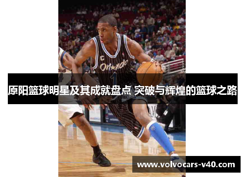原阳篮球明星及其成就盘点 突破与辉煌的篮球之路